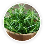 Rosemary